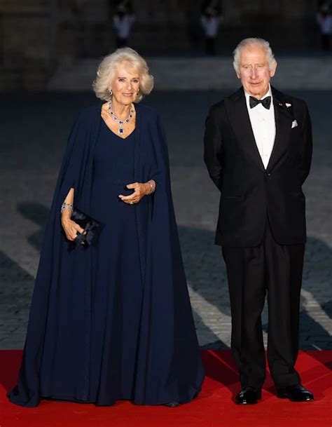 dior couture queen gown|Queen Camilla’s beauty is a spectacle in Dior gown and £5 .